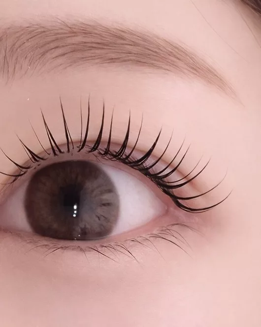 Hollywood Brow Lamination + Korean-Style Eyelash Perm Set